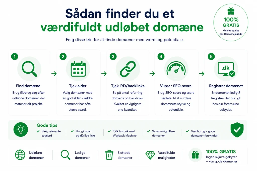 Sådan finder og vurderer du værdifulde udløbne domæner