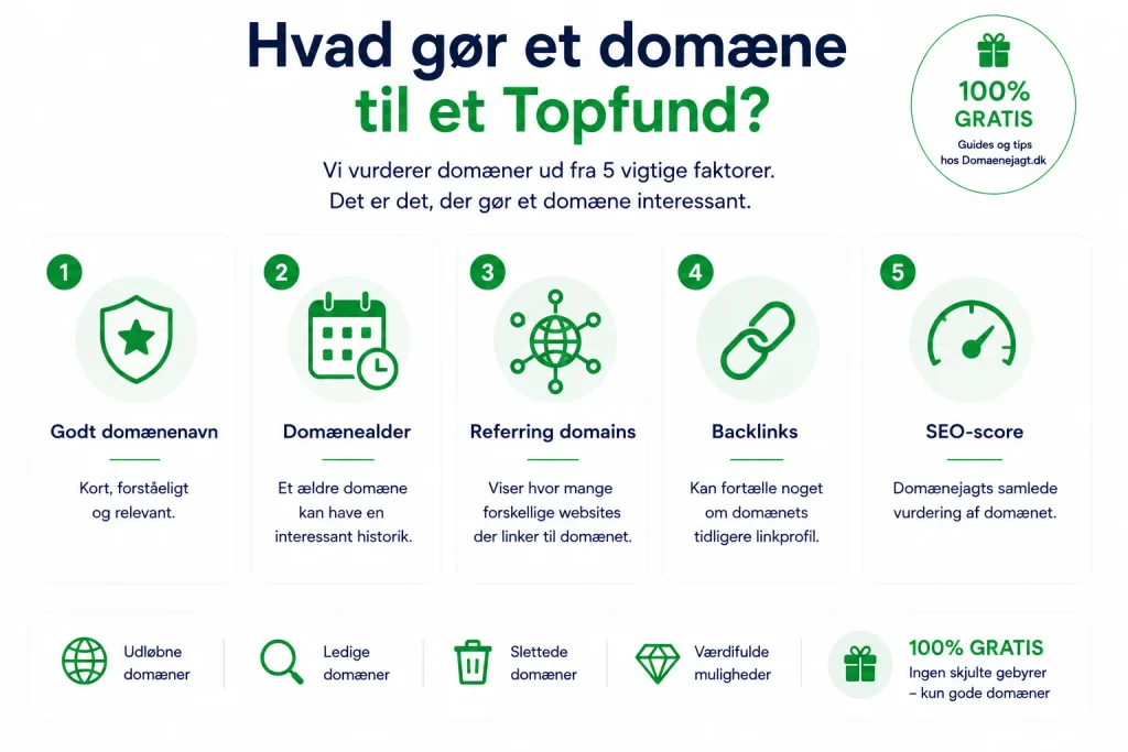 Faktorer der bruges til at vurdere interessante topfund og værdifulde domæner